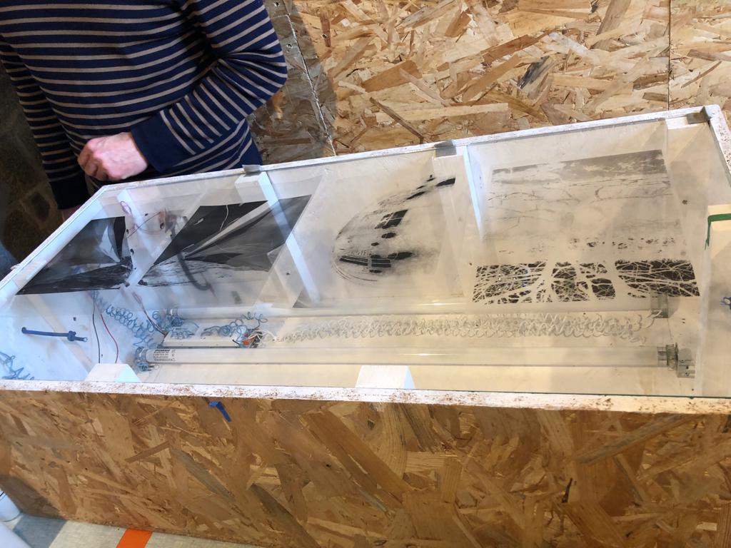 Cyanotype, depuis 2021 - 