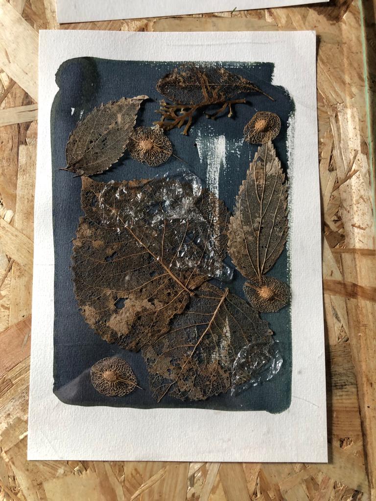 Cyanotype, depuis 2021 - 