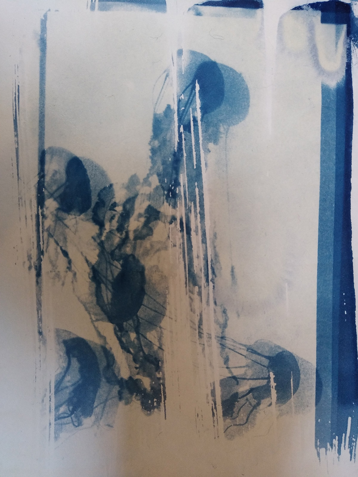 Cyanotype, depuis 2021 - 