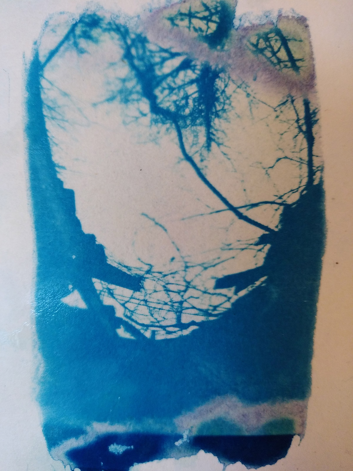 Cyanotype, depuis 2021 - 