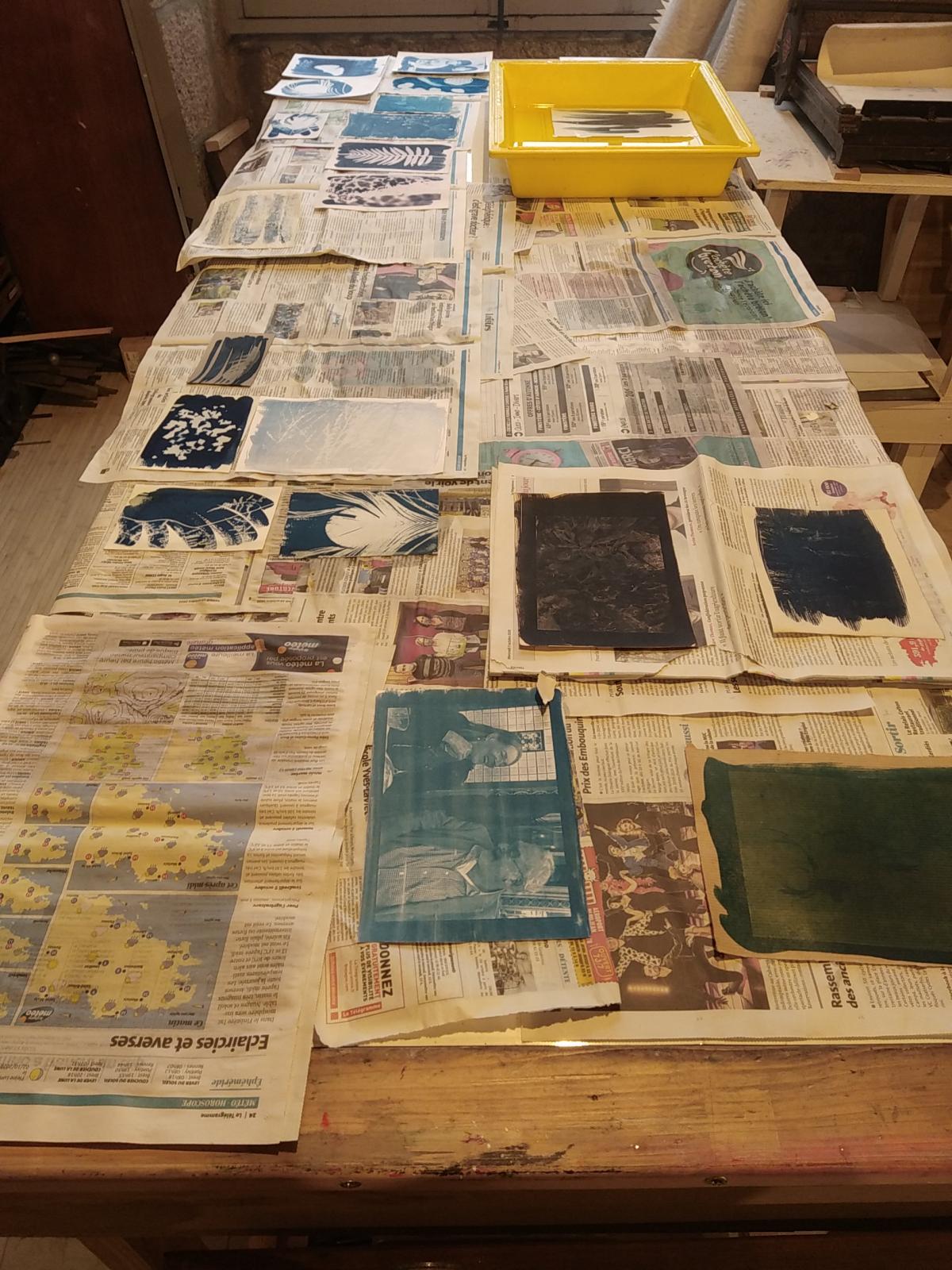 Cyanotype, depuis 2021 - 