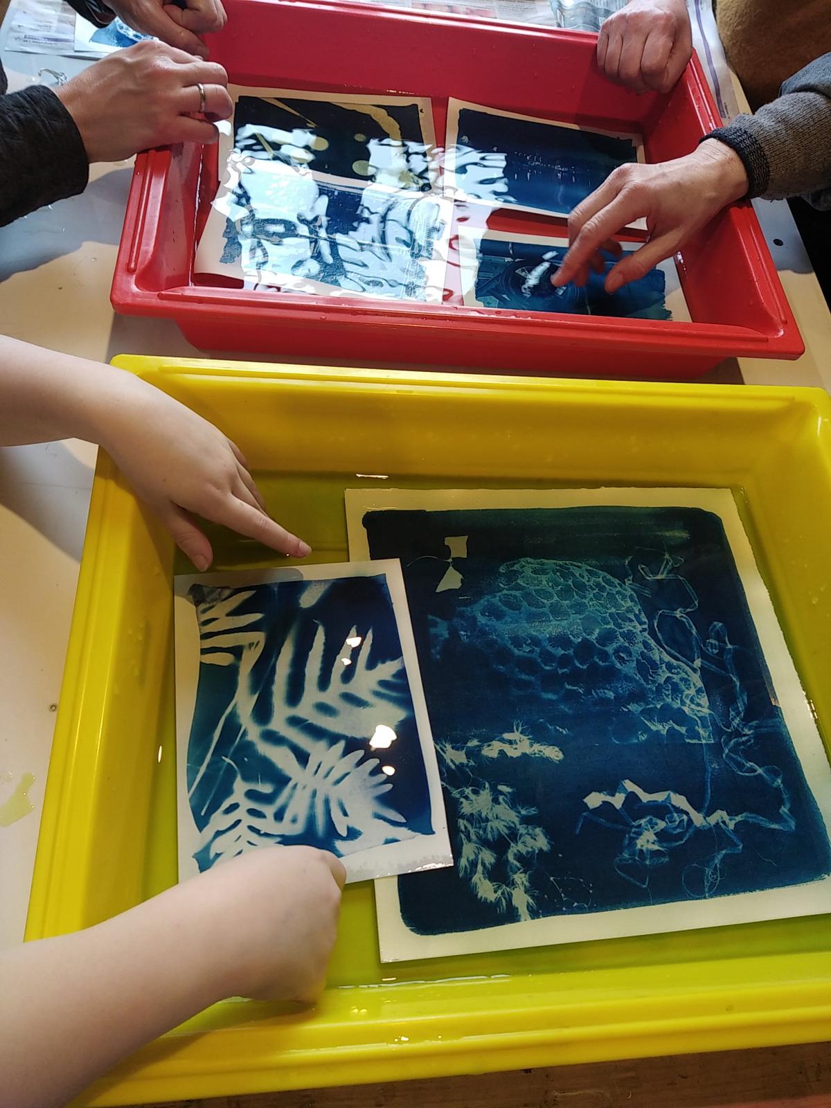 Cyanotype, depuis 2021 - 