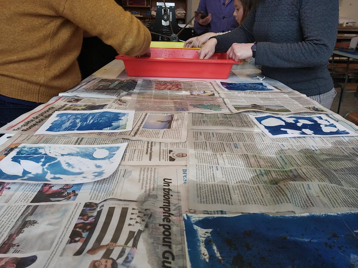 Cyanotype, depuis 2021 - 