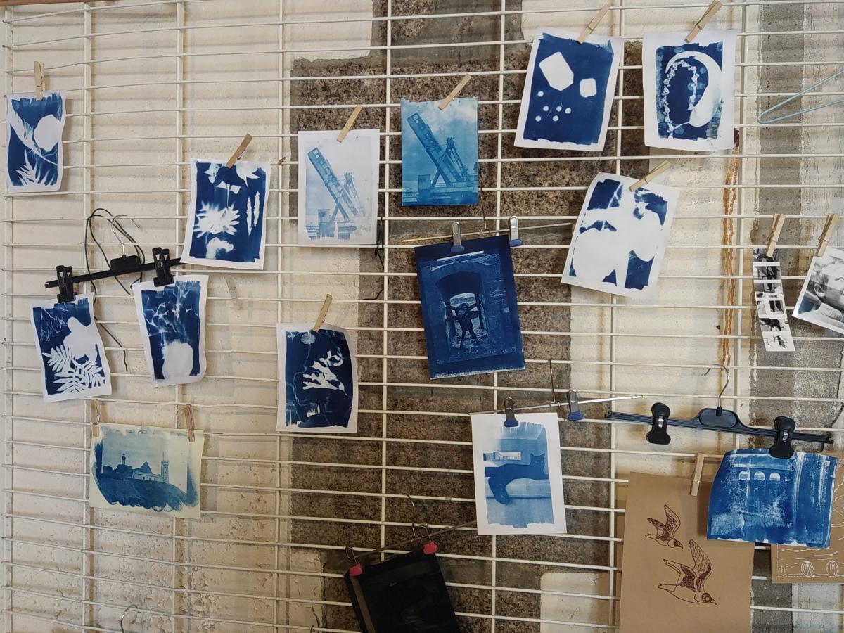 Cyanotype, depuis 2021 - 