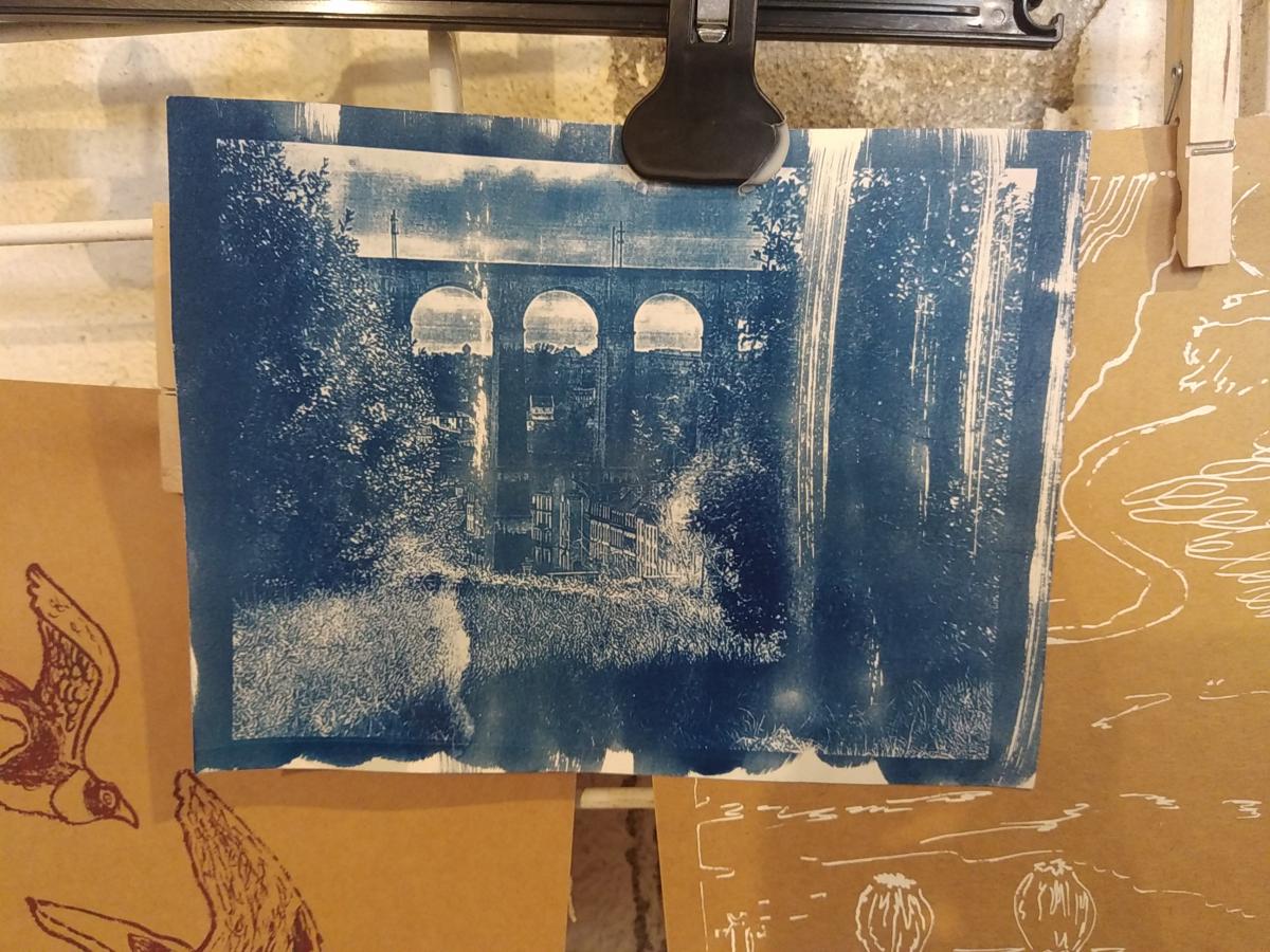 Cyanotype, depuis 2021 - 