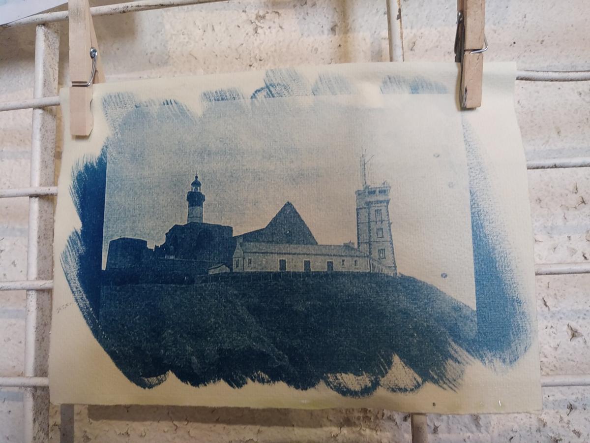 Cyanotype, depuis 2021 - 