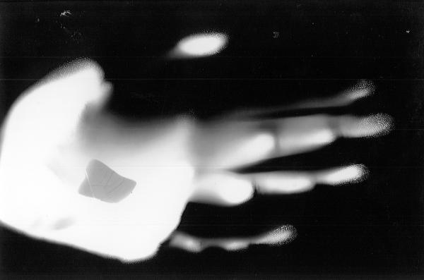 Rayogramme, 2019 - 