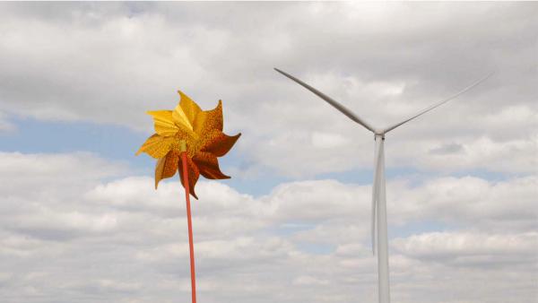 Vents Contraires, 2015 - Projet documentaire 