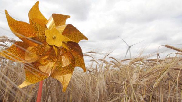 Vents Contraires, 2015 - Projet documentaire 