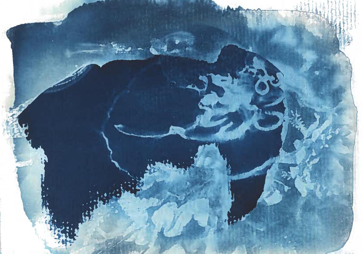 Fantômes, 2021 - Recherches en cyanotype