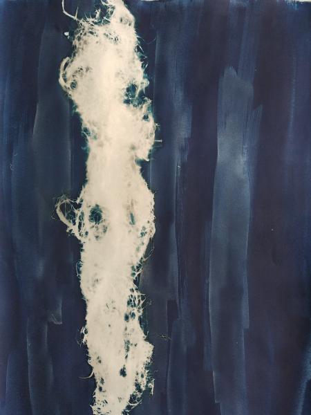 Mémoires, 2023 - Recherches en cyanotype