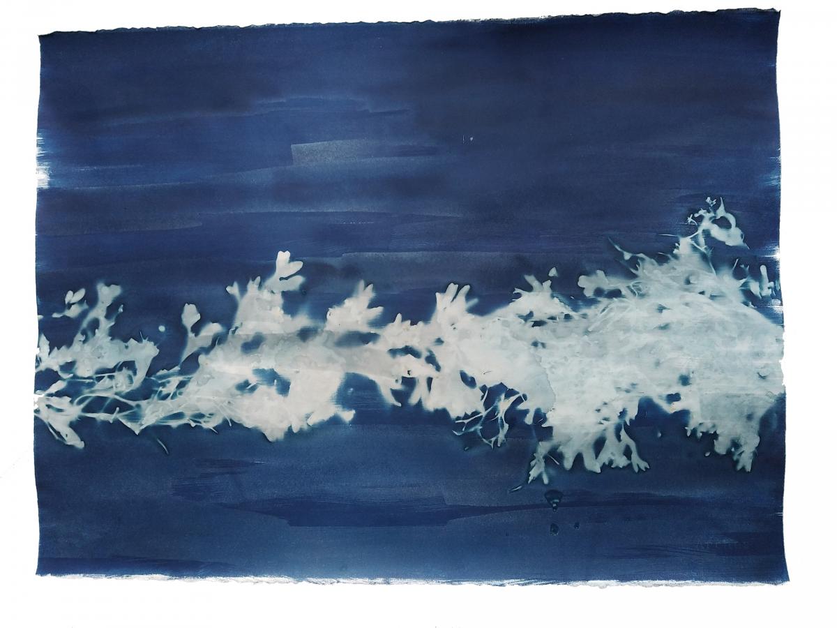 Mémoires, 2023 - Recherches en cyanotype