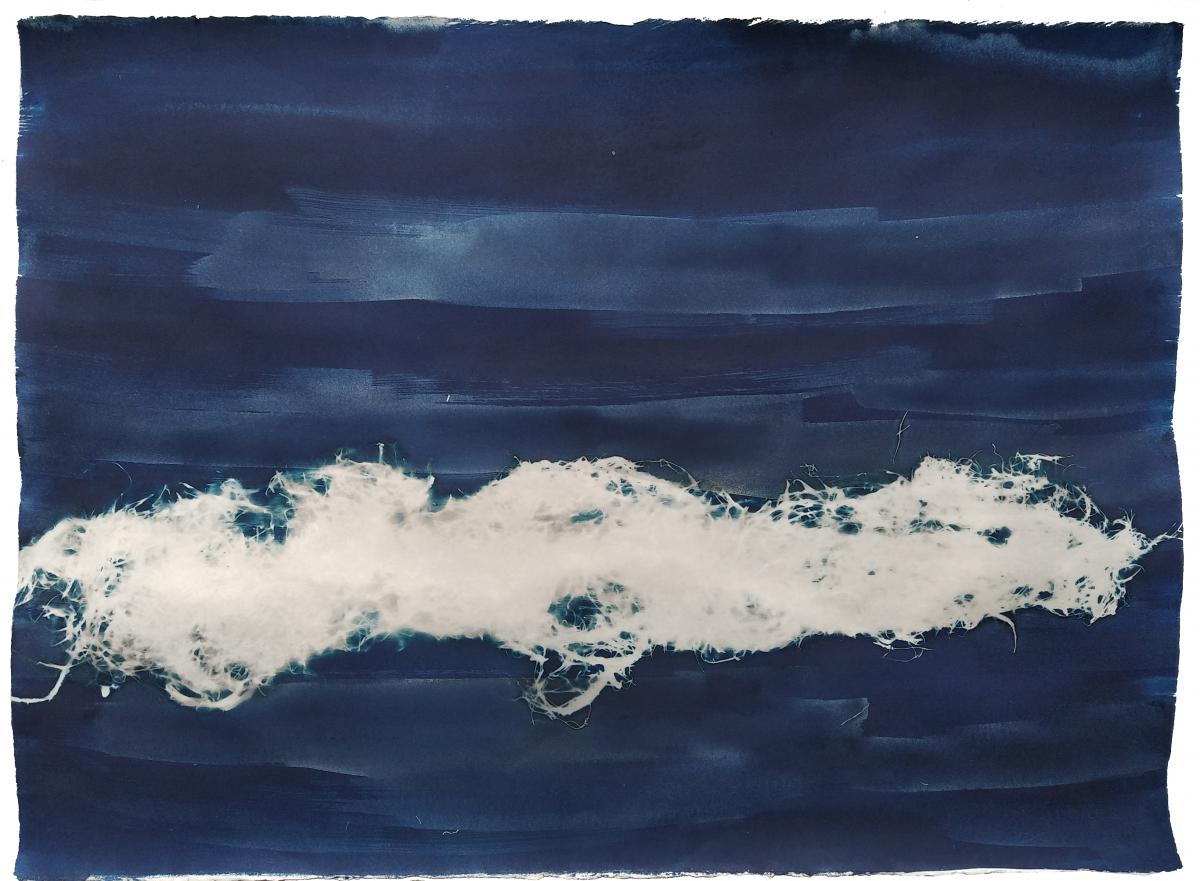 Mémoires, 2023 - Recherches en cyanotype