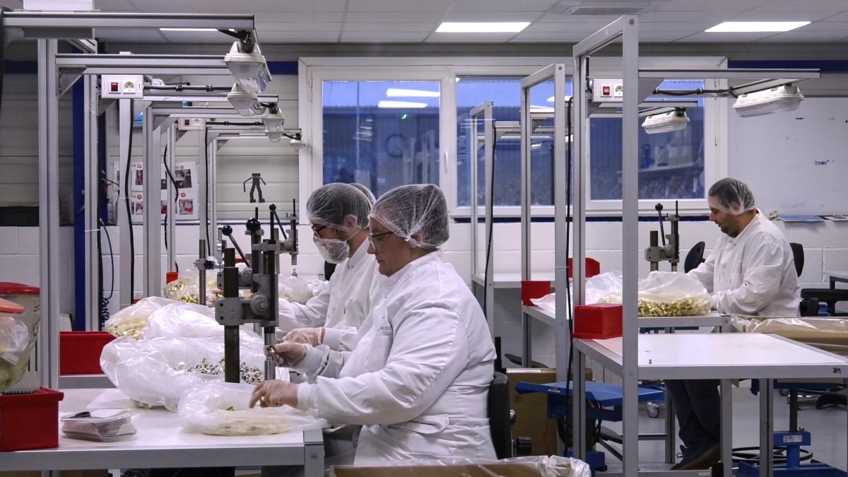 Symphonie pour un ESAT, 2024 - Documentaire, 26'
Réalisé par les travailleur.euses de l'ESAT du Tréport, accompagné.es par la réalisatrice intervenante Gabrielle Schaff