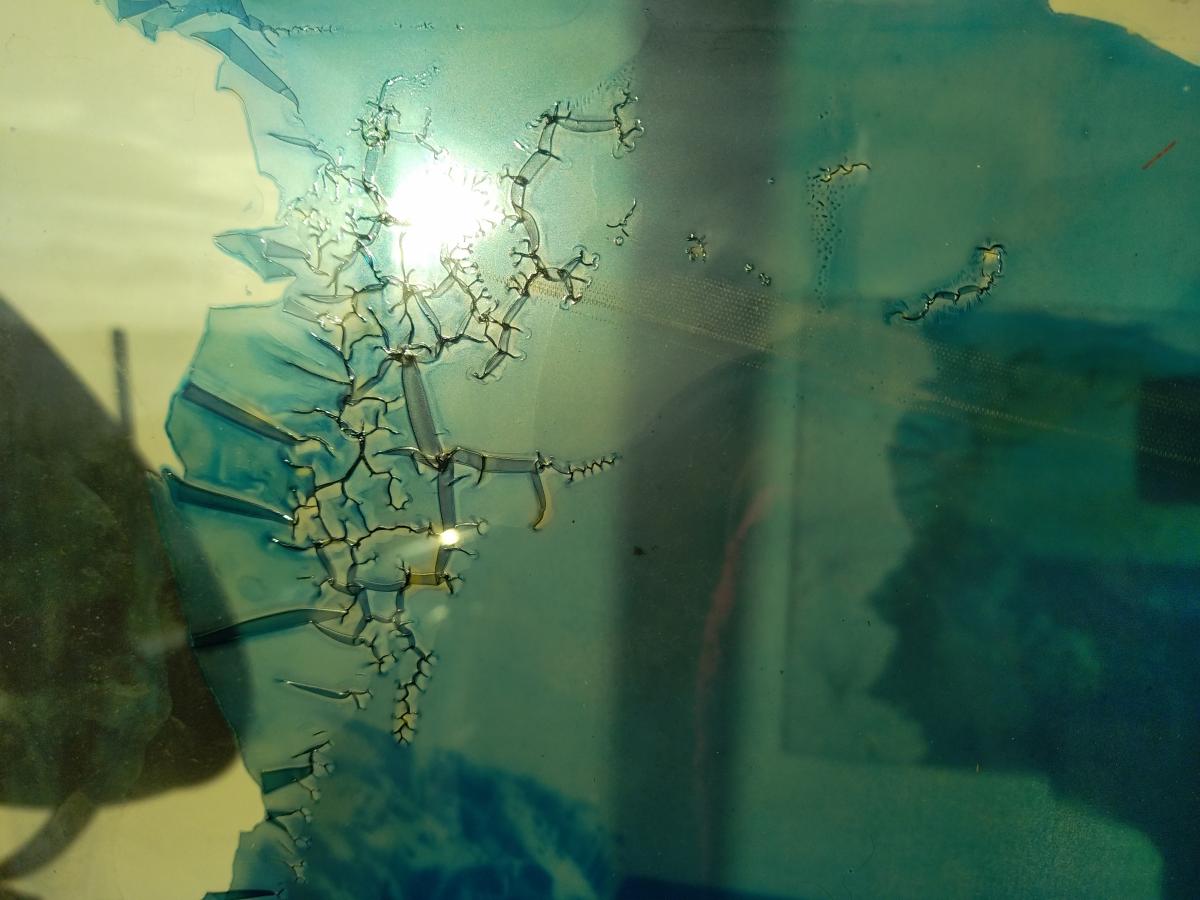 Femme à la mer, 2021 - Recherches en cyanotype