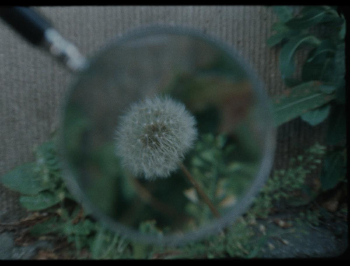 Habiter les fissures, 2025 - Court métrage, 22'Réalisée par Milena Desse / produit par Naoko Films