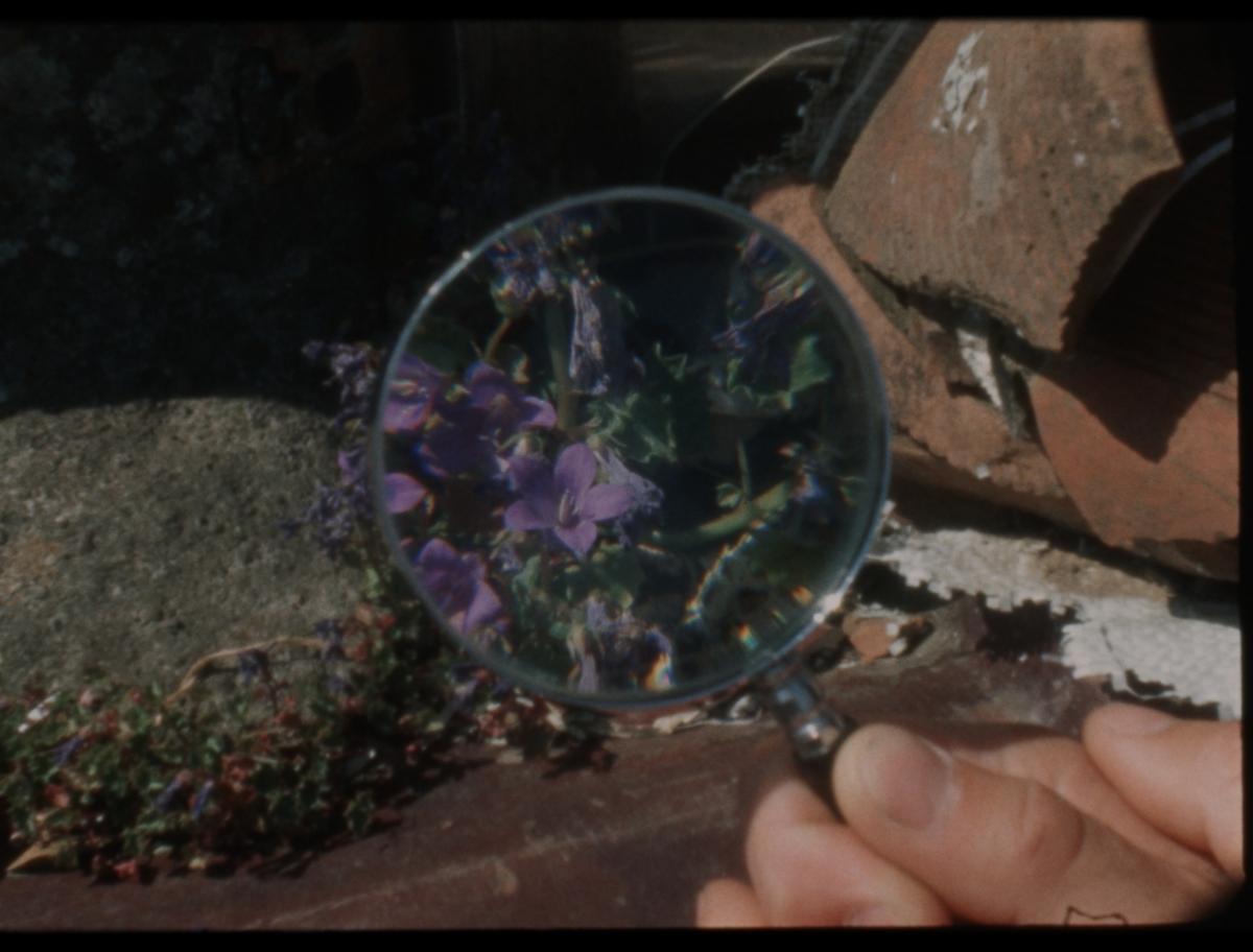 Habiter les fissures, 2025 - Court métrage, 22'Réalisée par Milena Desse / produit par Naoko Films