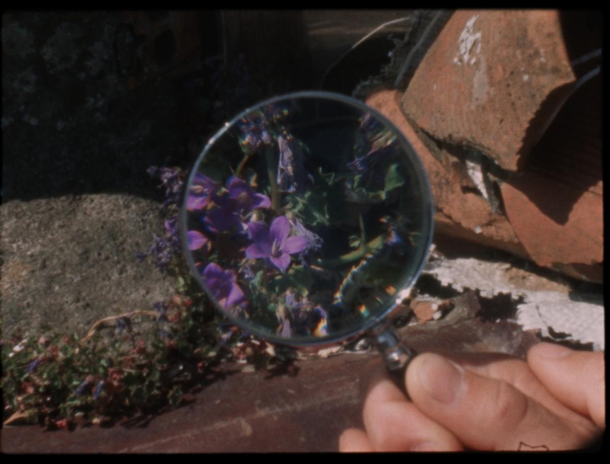 Habiter les fissures, 2025 - Court métrage, 22'Réalisée par Milena Desse / produit par Naoko Films