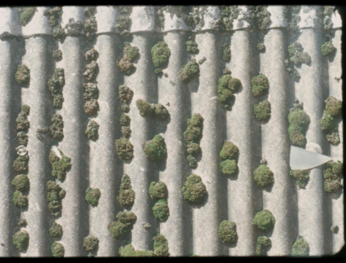 Habiter les fissures, 2025 - Court métrage, 22'Réalisée par Milena Desse / produit par Naoko Films