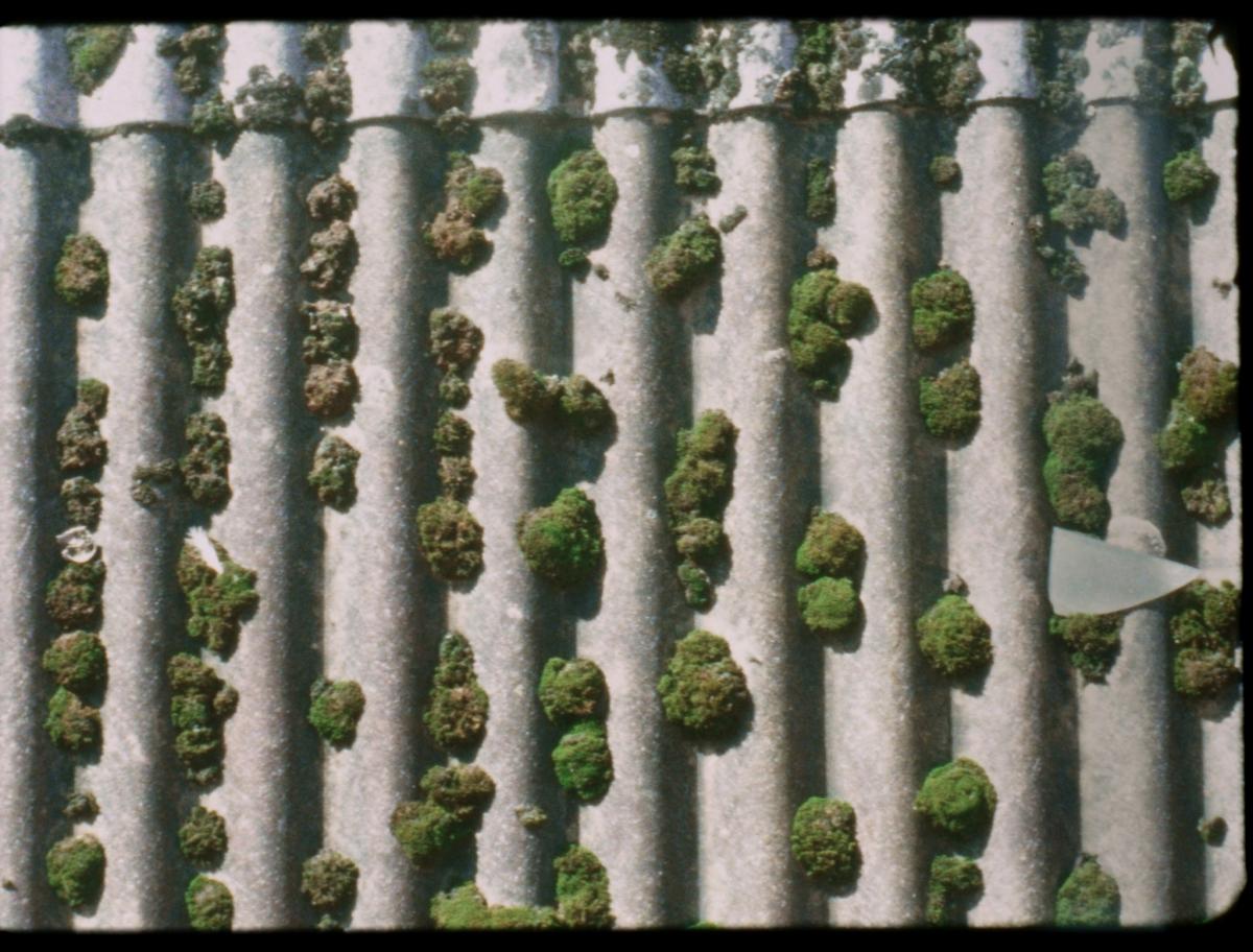 Habiter les fissures, 2025 - Court métrage, 22'Réalisée par Milena Desse / produit par Naoko Films
